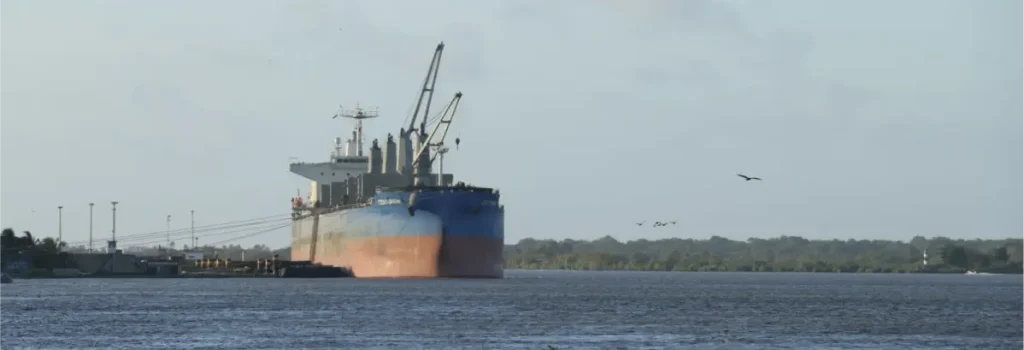 Consejo público - privado para proteger economía - Aliadas