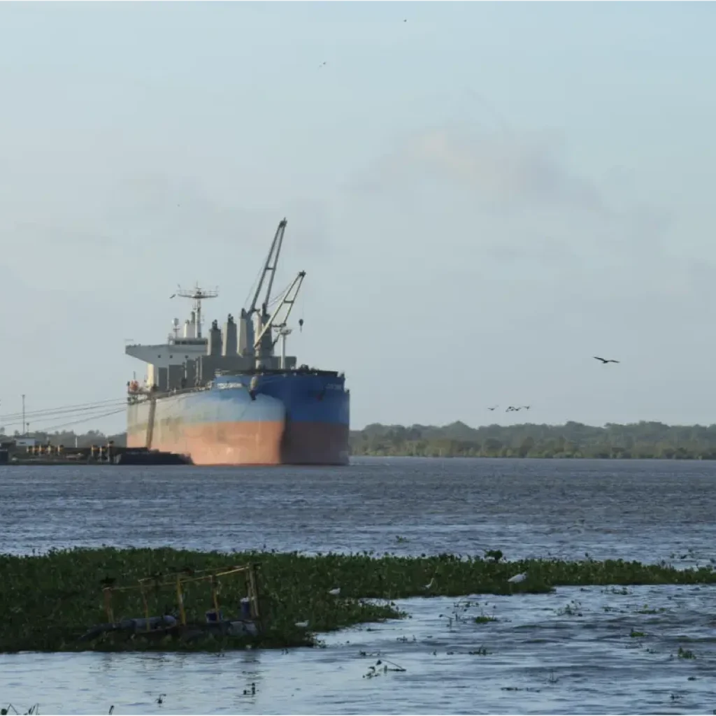 Consejo público - privado para proteger economía - Aliadas